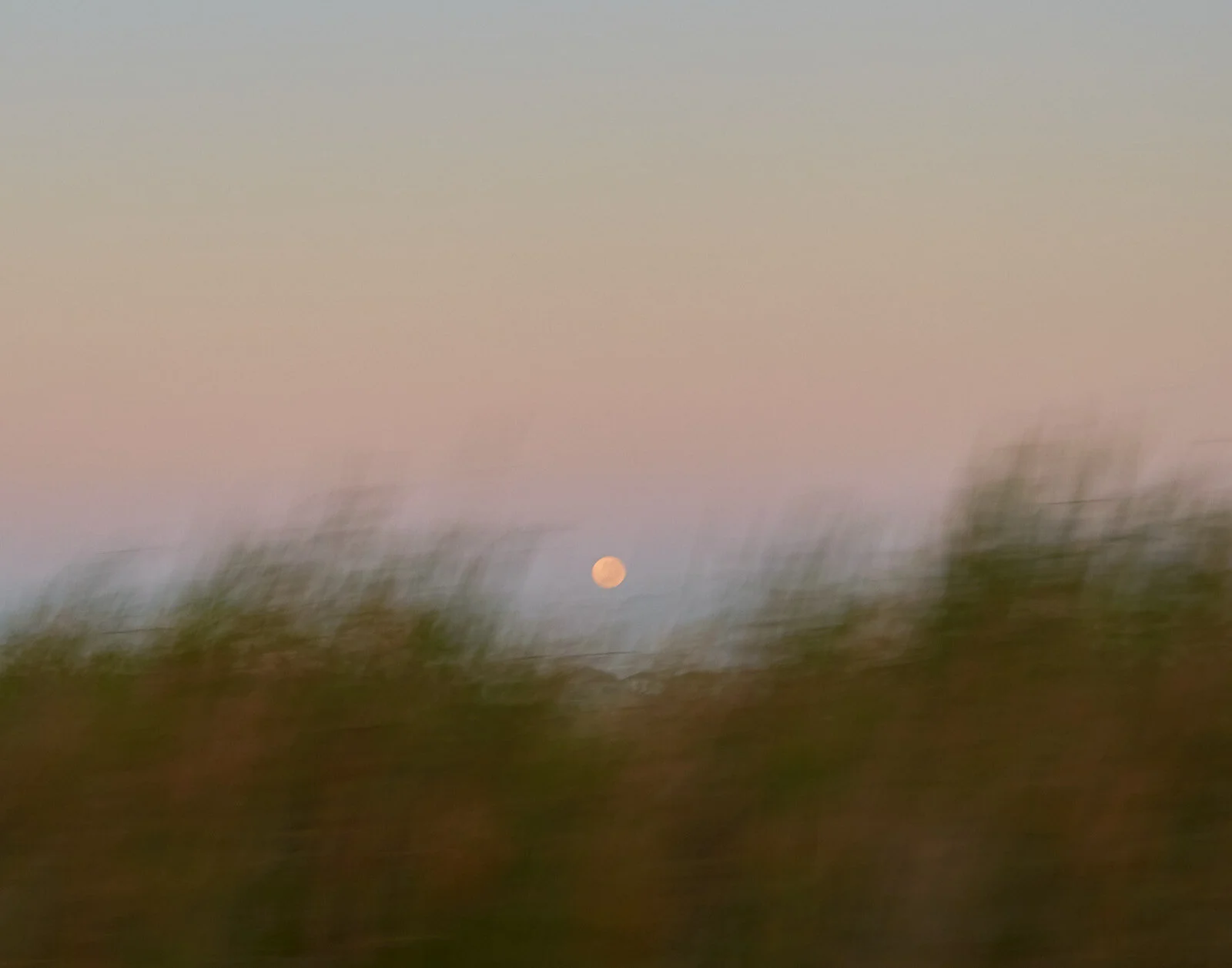 Moonrise