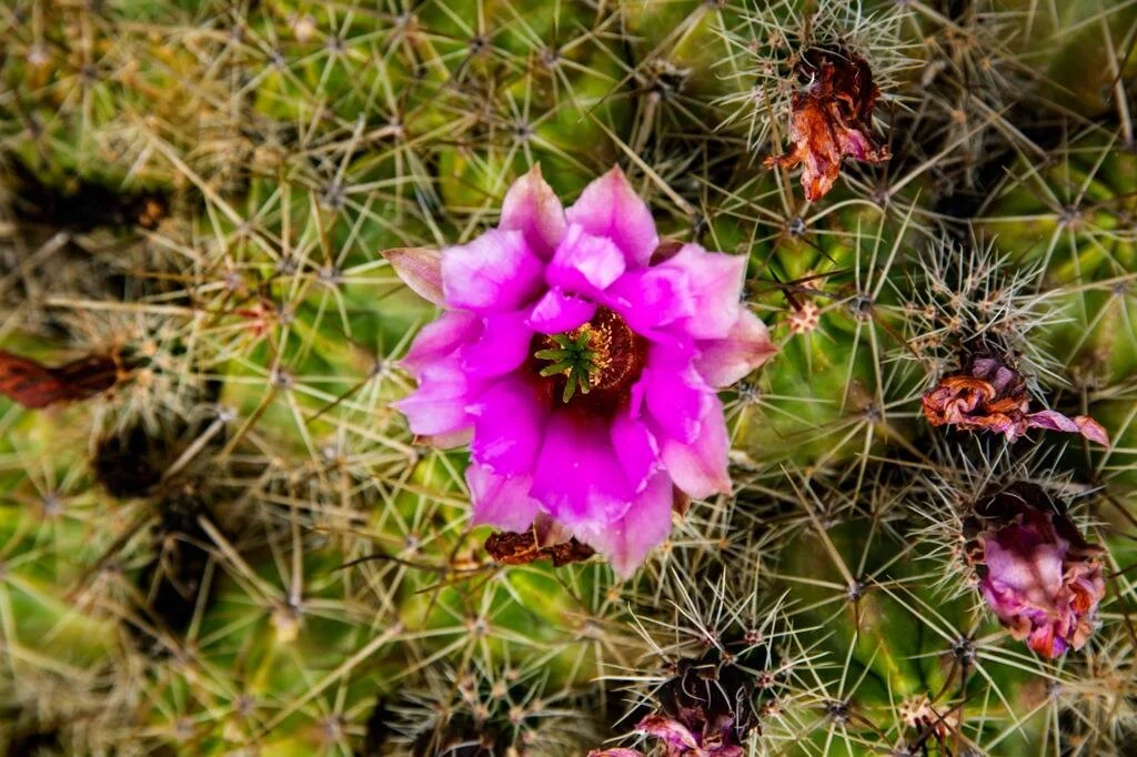 WhatsApp Image 2021-08-18 at 4.18.24 PM (4).jpeg