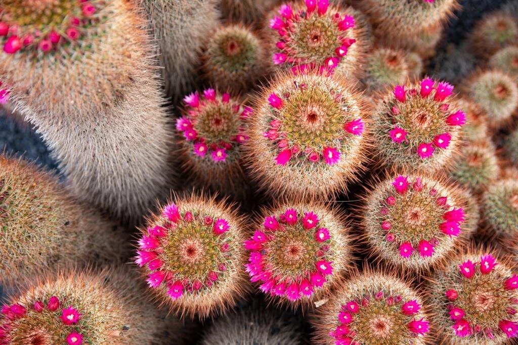 WhatsApp Image 2021-08-18 at 4.19.13 PM.jpeg