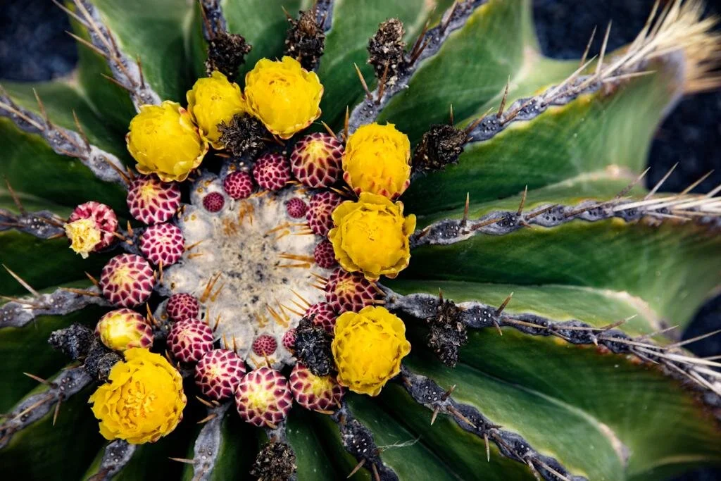 WhatsApp Image 2021-08-18 at 4.19.13 PM (1).jpeg