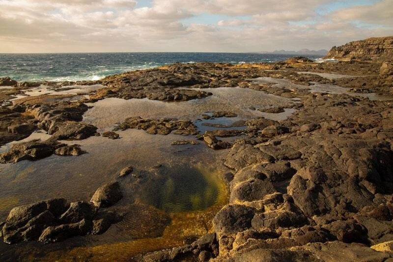 WhatsApp Image 2021-08-18 at 4.27.43 PM (1).jpeg