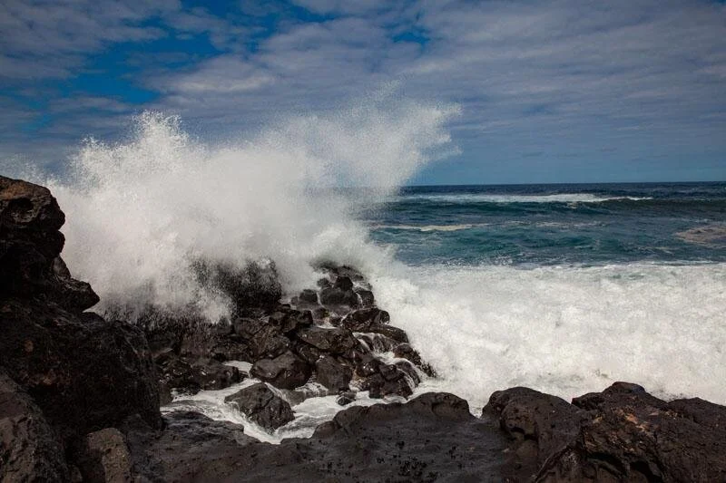 WhatsApp Image 2021-08-18 at 4.27.42 PM (1).jpeg