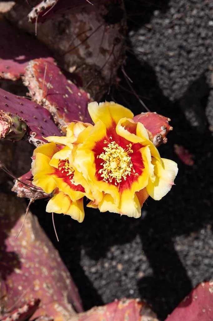 WhatsApp Image 2021-08-18 at 4.19.14 PM (1).jpeg