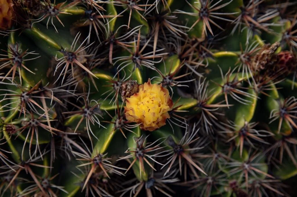 WhatsApp Image 2021-08-18 at 4.18.24 PM (3).jpeg