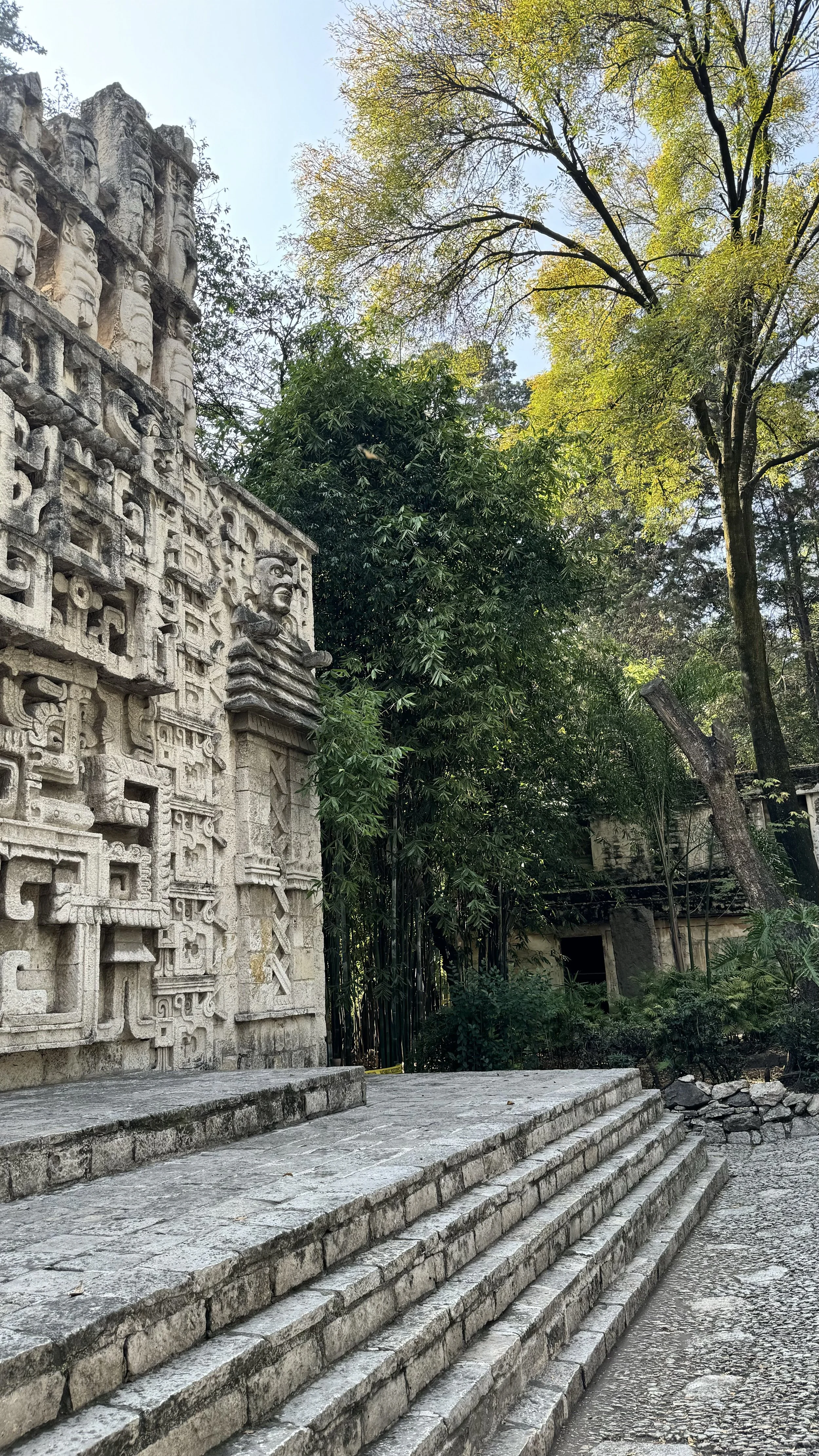 The National Museum of Anthropology