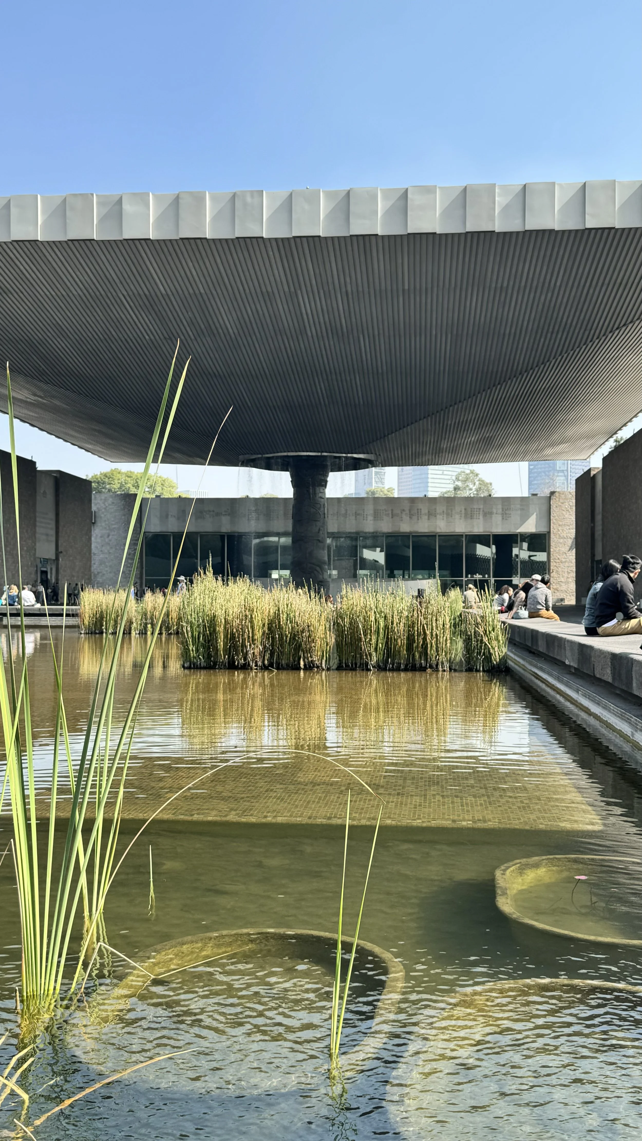 The National Museum Anthropology