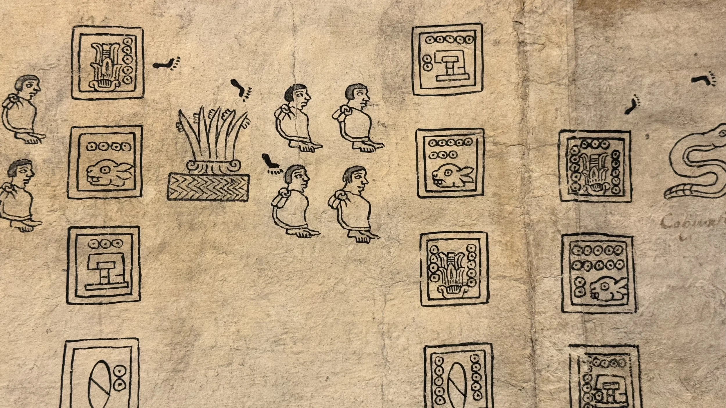 The National Museum of Anthropology