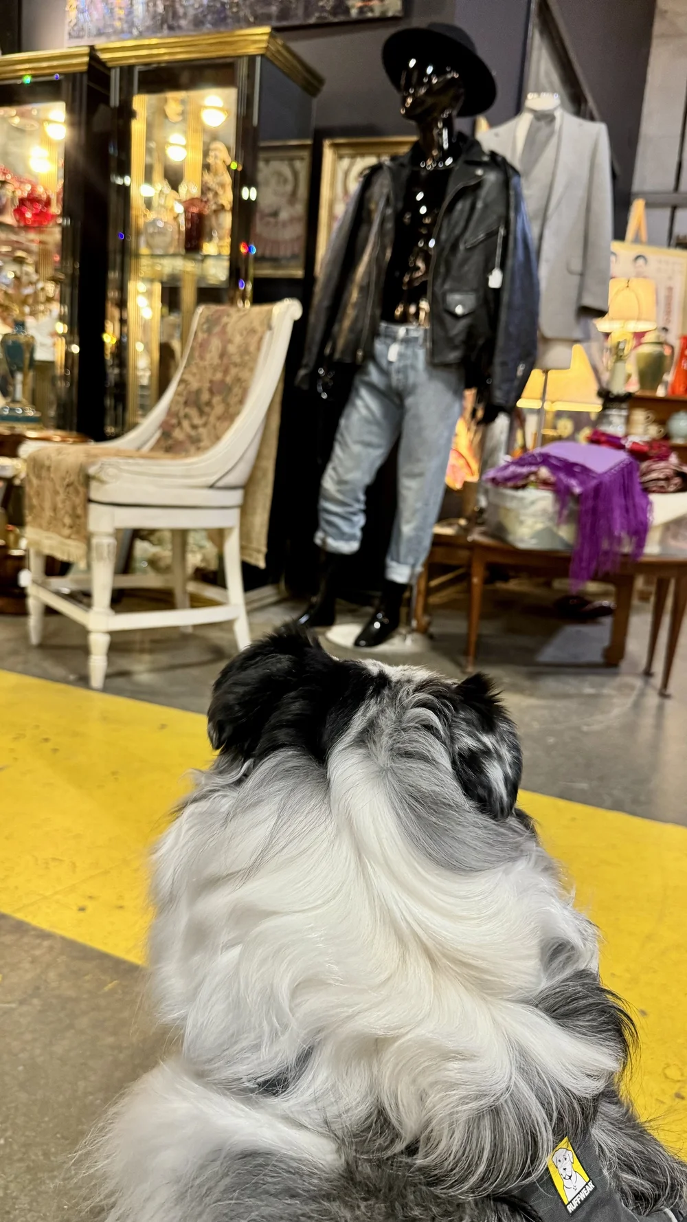 The Antique Warehouse