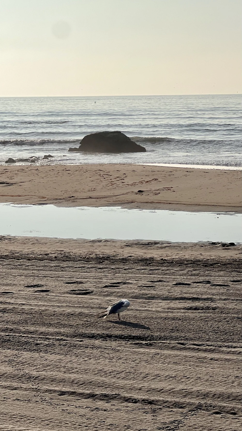 Scarborough South State Beach