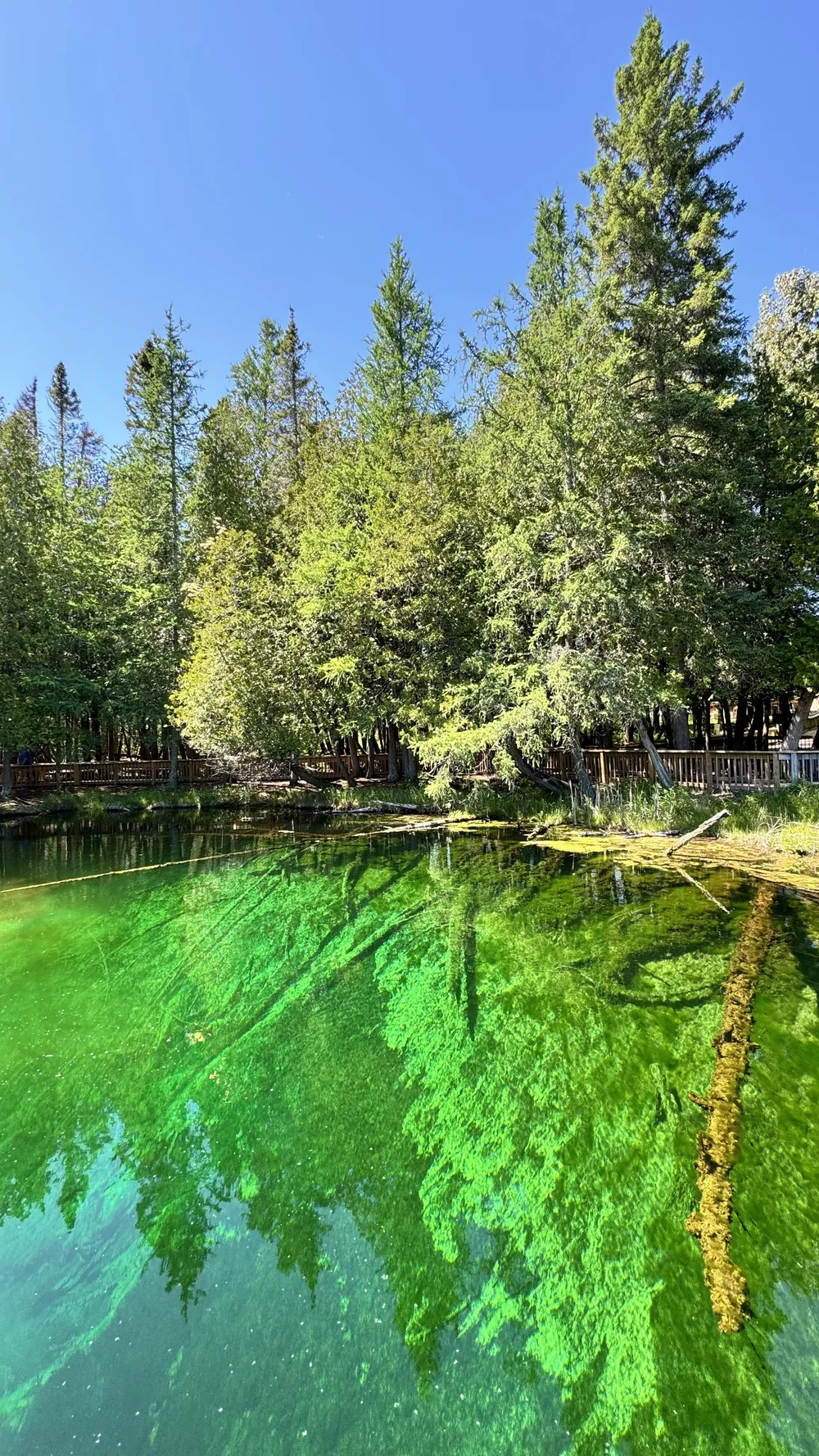 Kitch-iti-kipi (Big Spring), Michigan