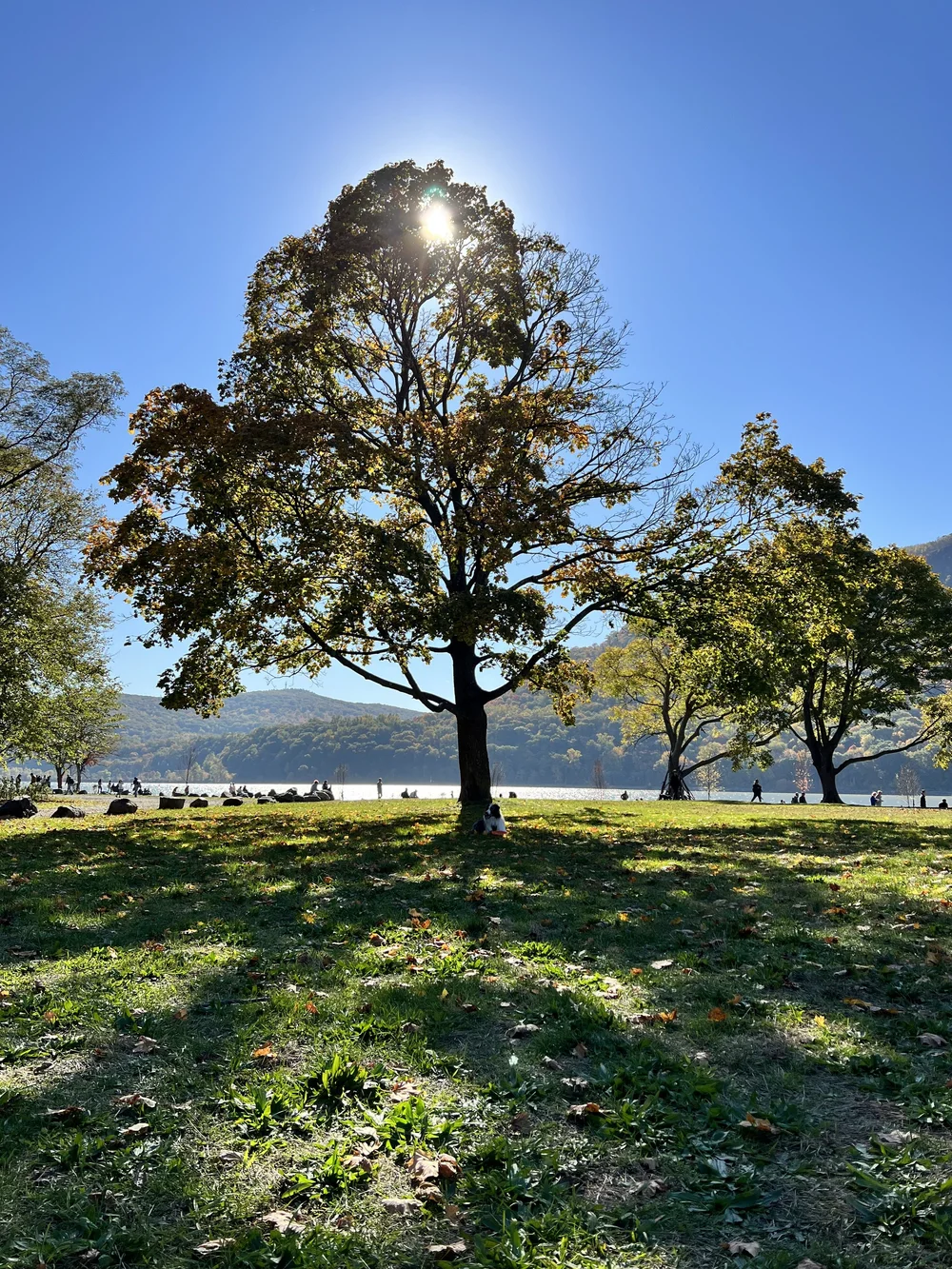 Cold Spring, NY