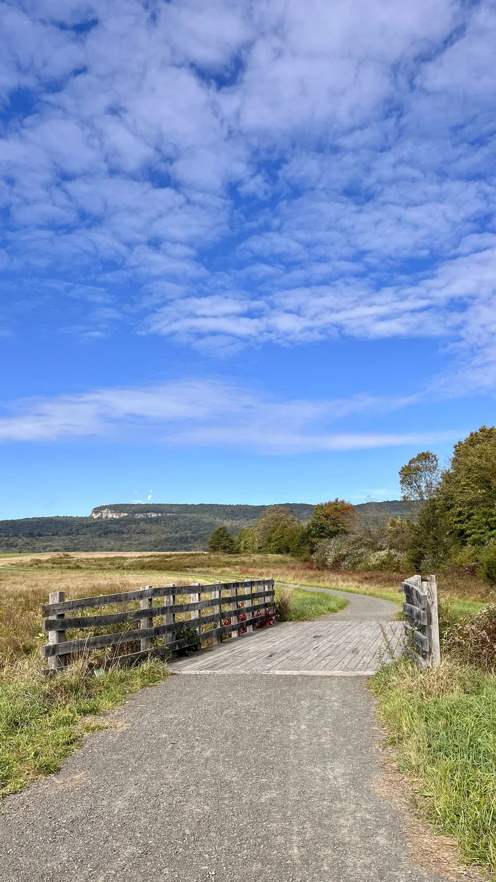 New Paltz, NY