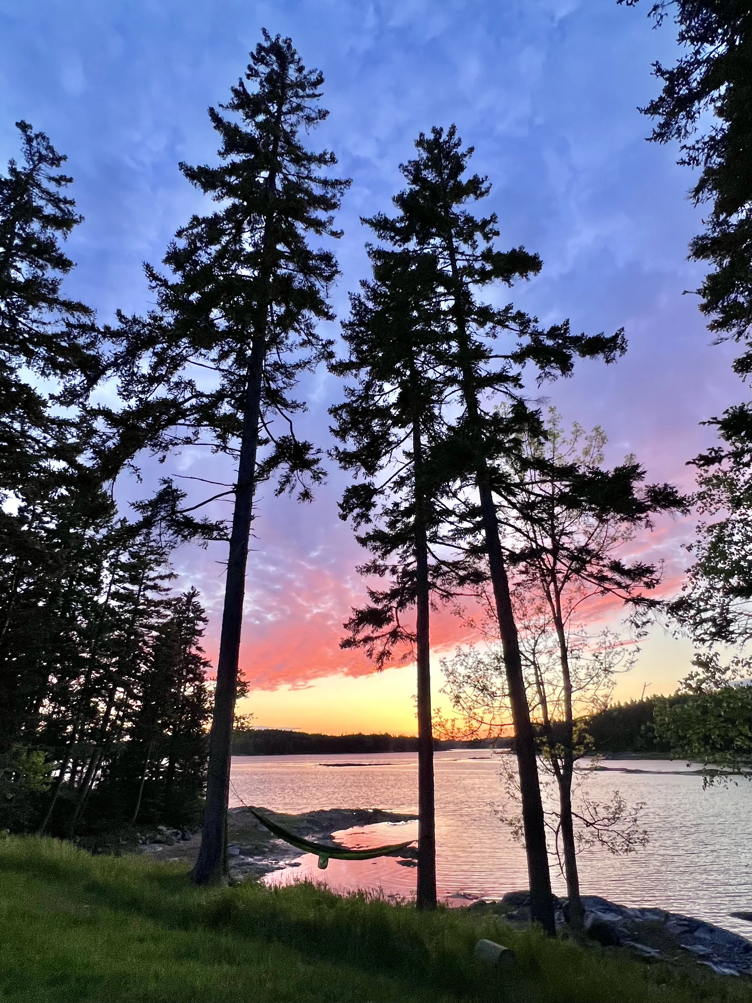 Colorful sunset over Gulf of Maine with trees and grass in forefront