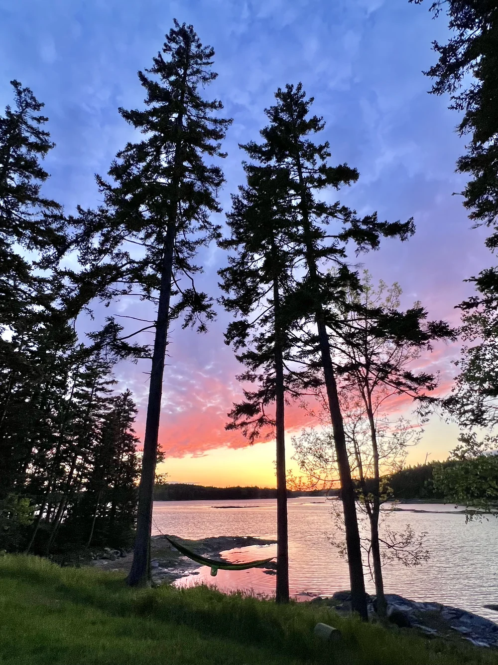 Colorful sunset over Gulf of Maine with trees and grass in forefront