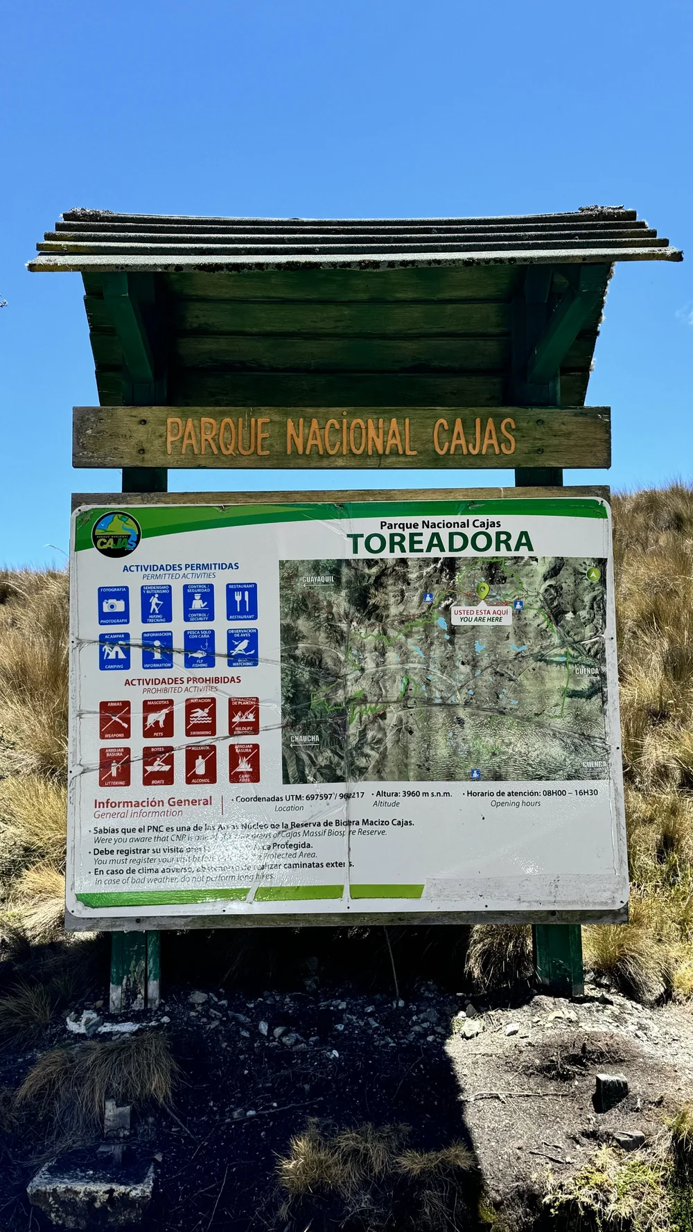 Laguna Toreadora in Cajas National Park