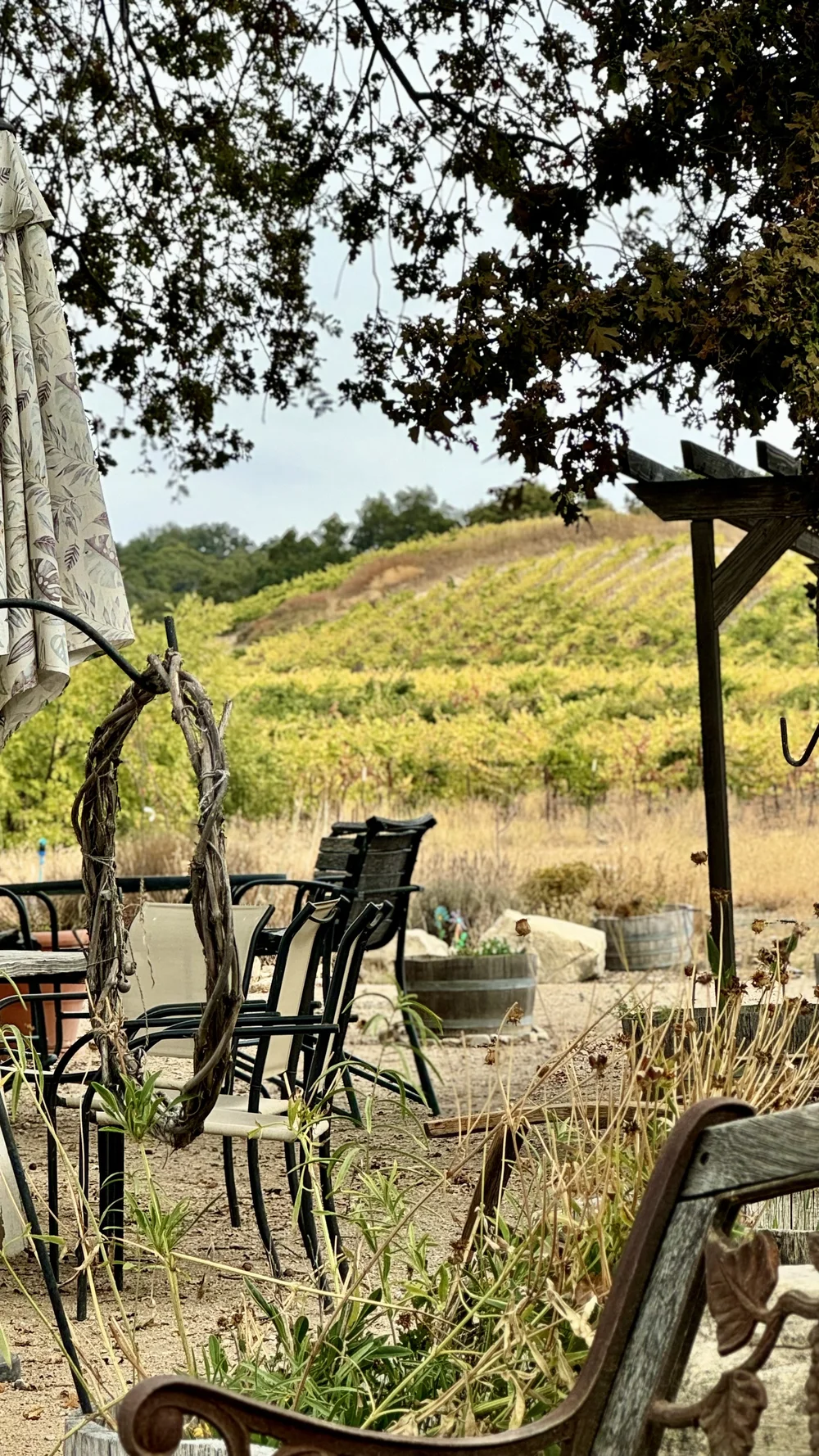 Kiamie Wine Cellars in Paso Robles, CA