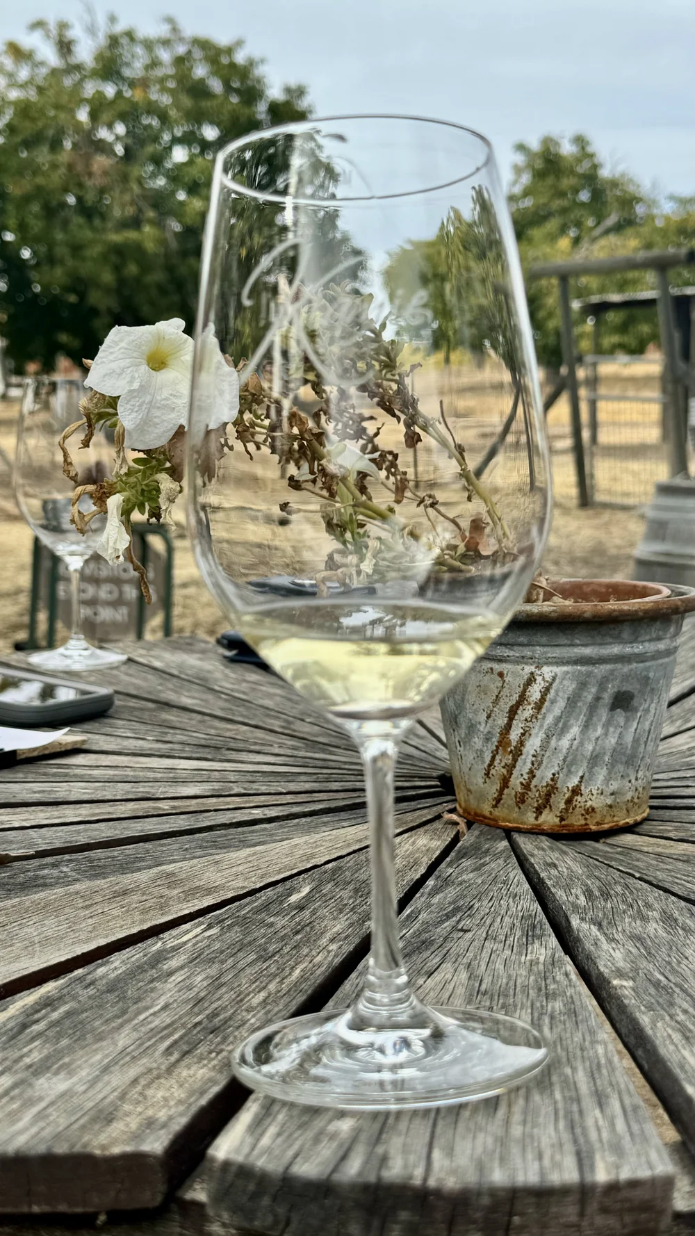 Kiamie Wine Cellars in Paso Robles, CA