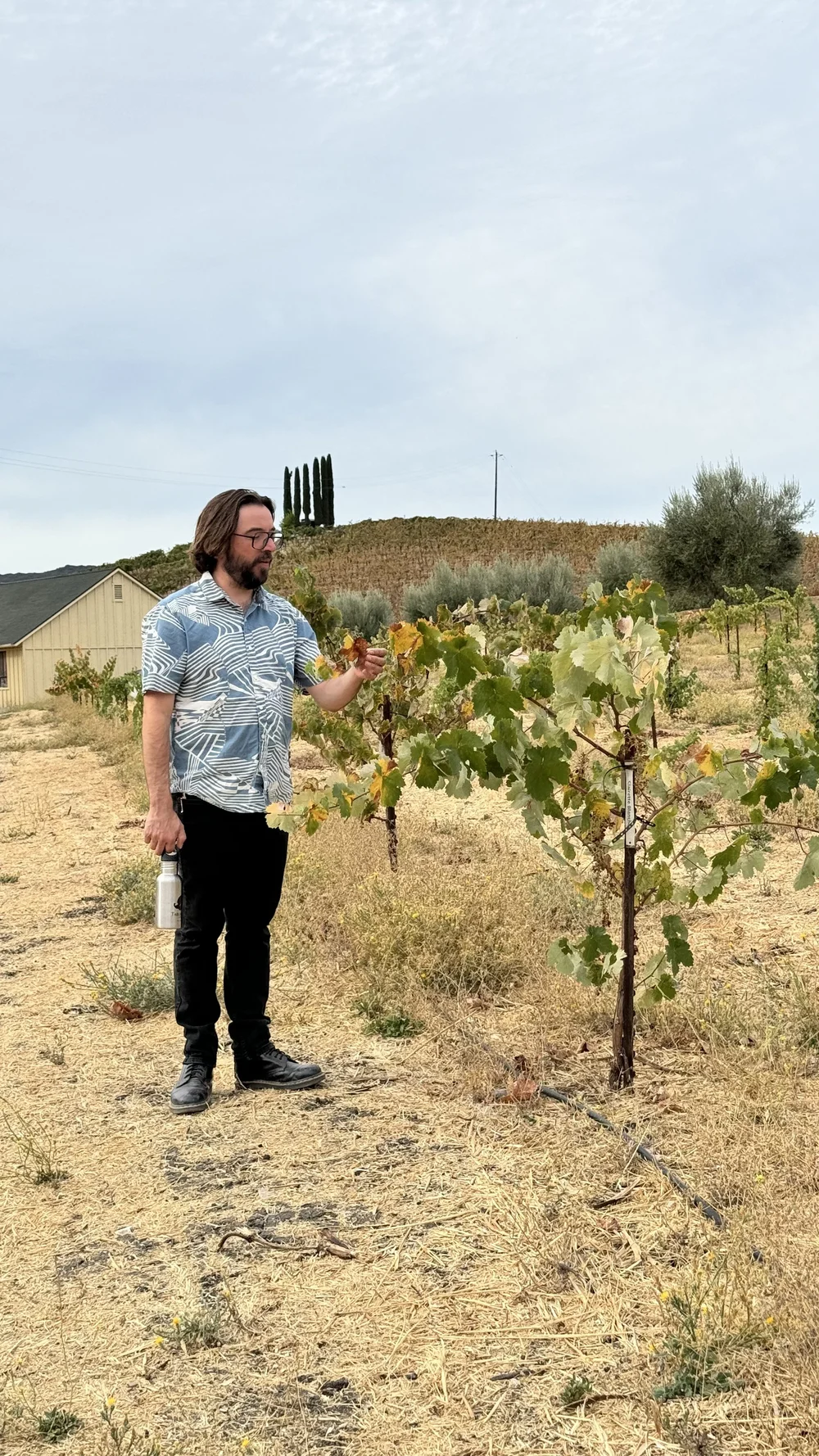 Tablas Creek Vineyard in Paso Robles, CA