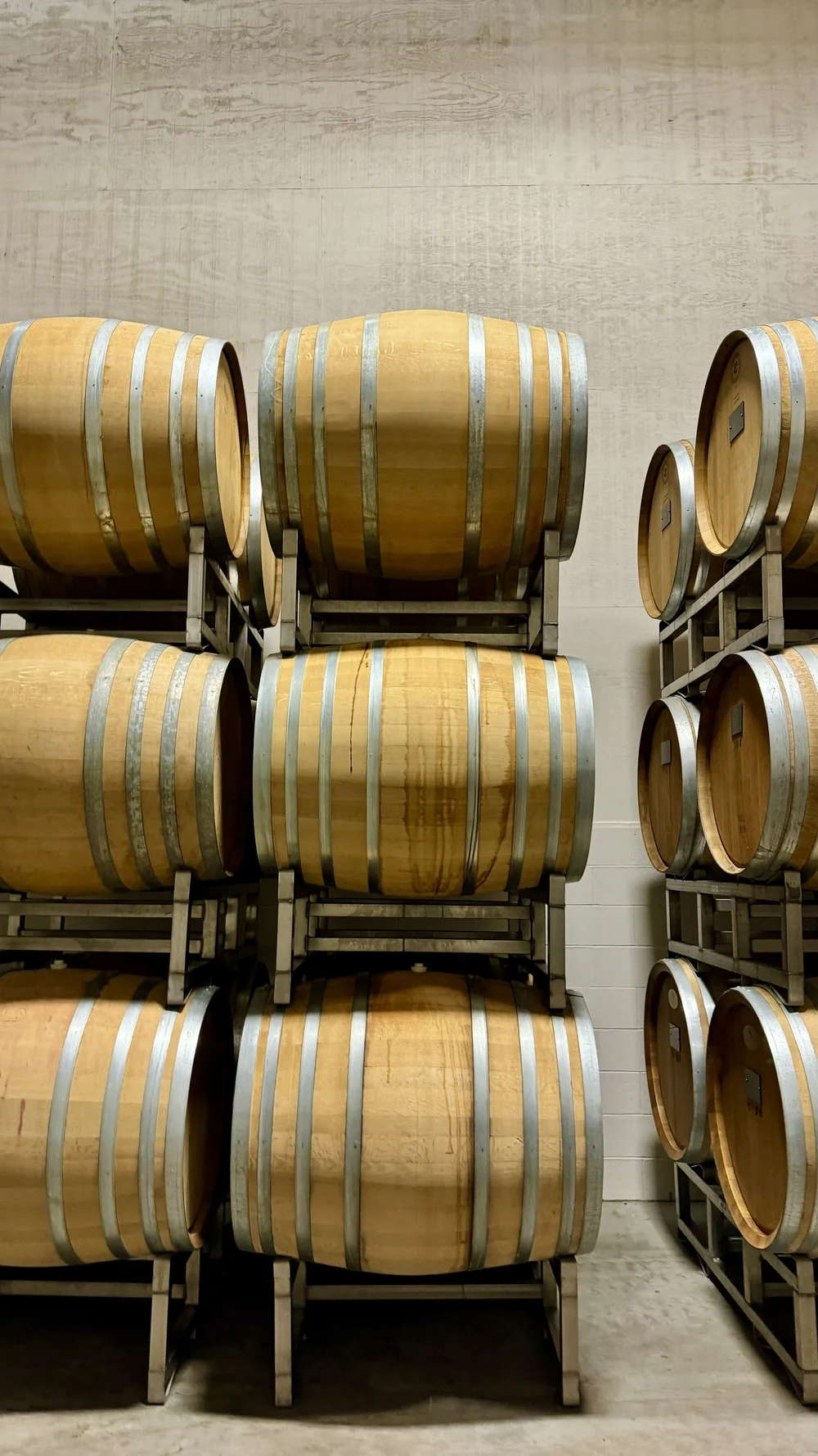 Tablas Creek Vineyard in Paso Robles, CA