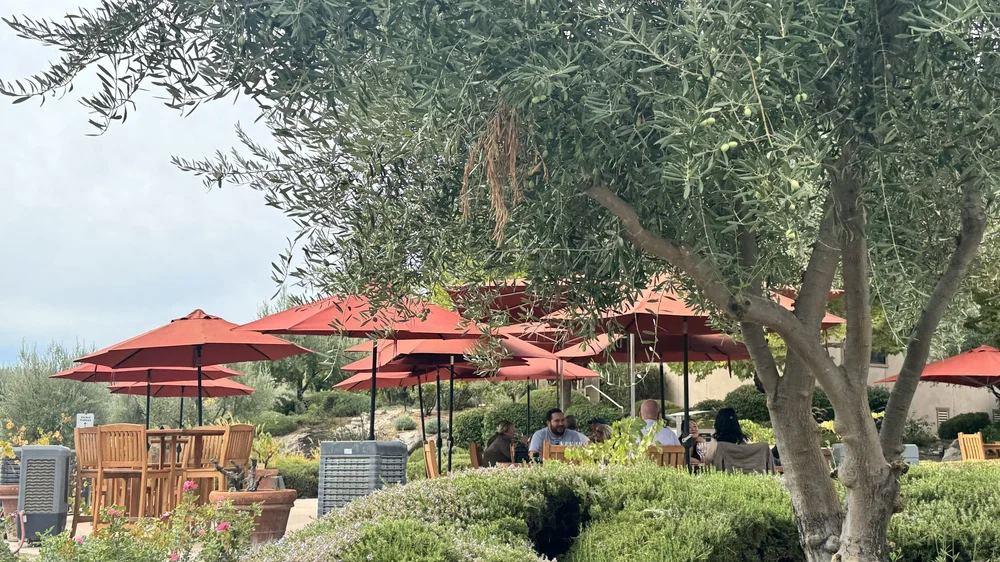 Tablas Creek Vineyard in Paso Robles, CA