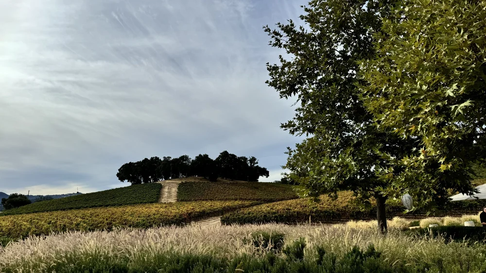  Justin Vineyards &amp; Winery in Paso Robles, CA