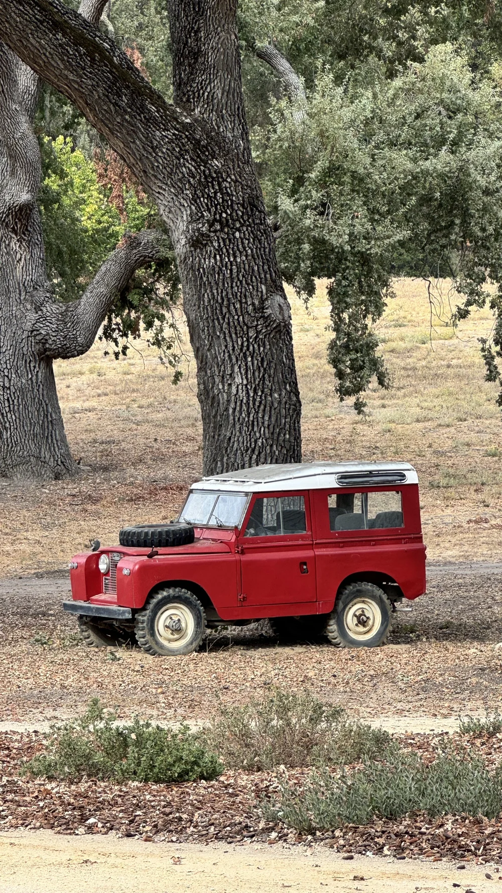 Pasolivo in Paso Robles, CA