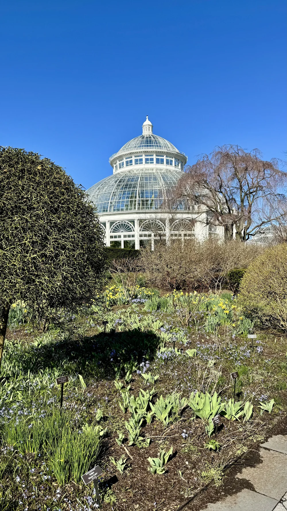 New York Botanical Garden