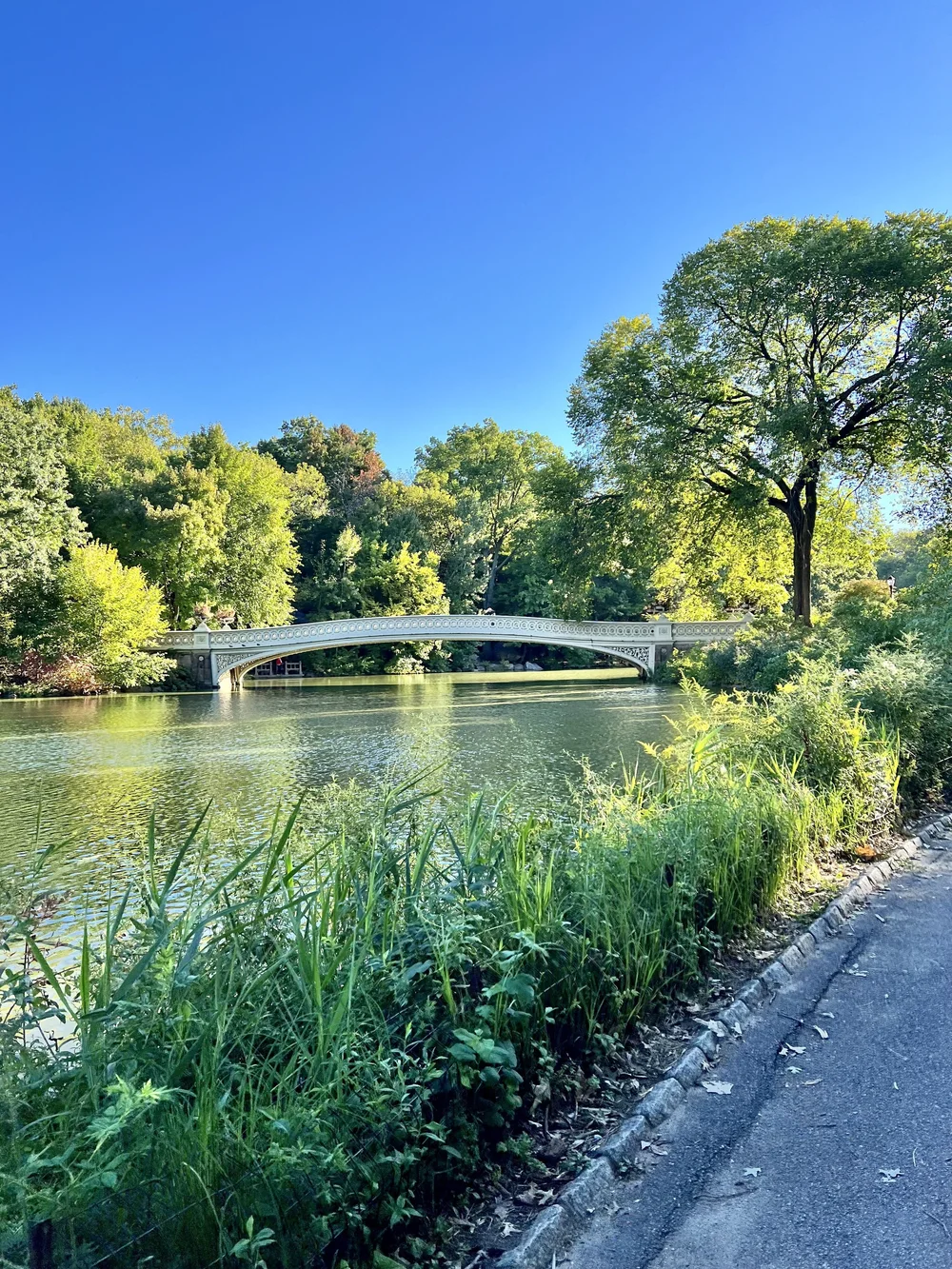 Central Park