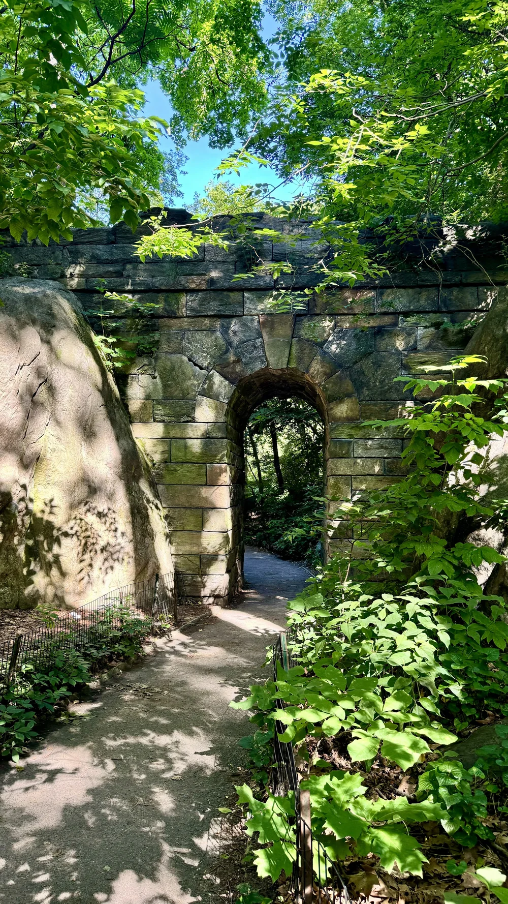 Central Park