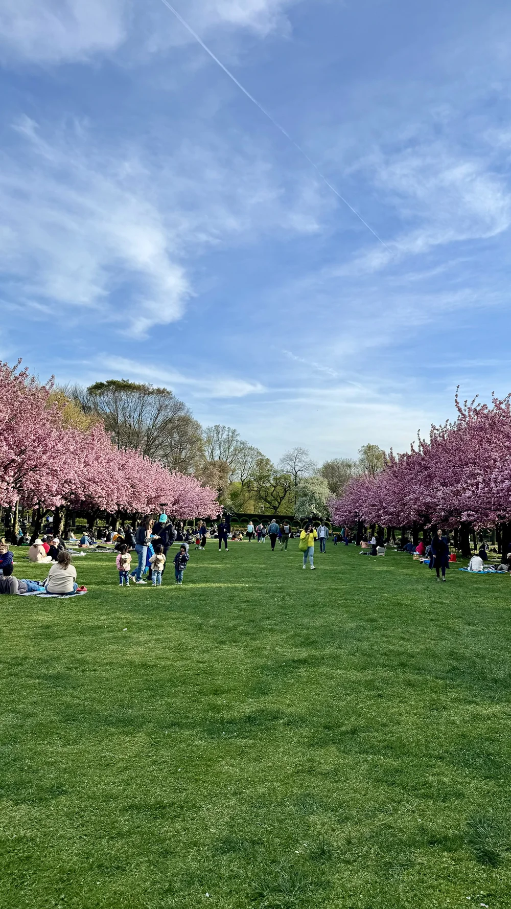 Brooklyn Botanic Garden