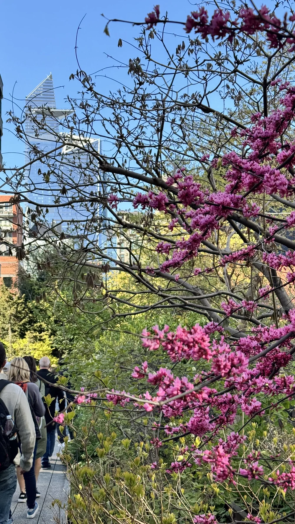 The High Line