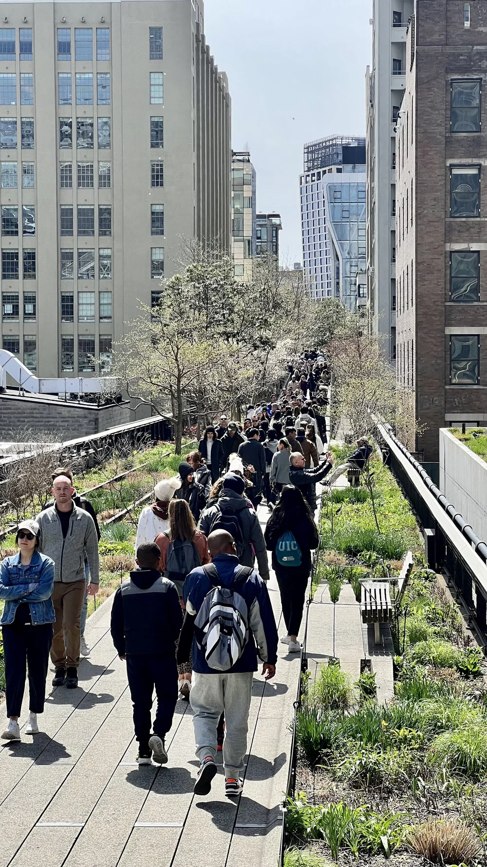 The High Line