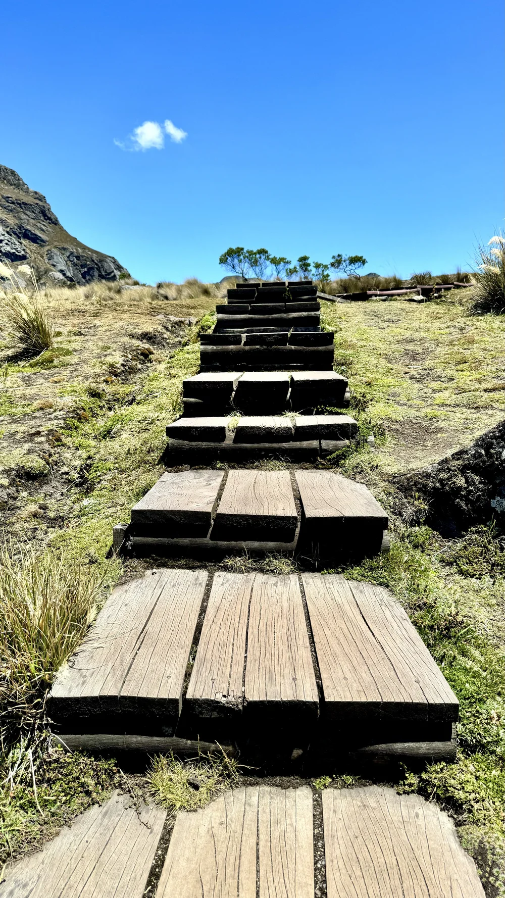 Laguna Toreadora in Cajas National Park