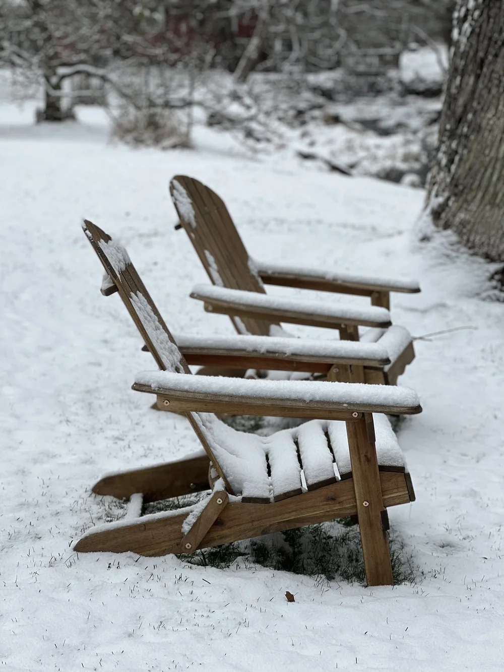 Cedar Brook House - Airbnb in Eldred, NY