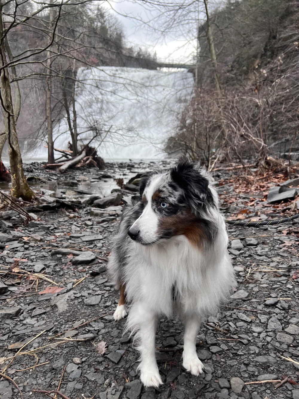 Ithaca Falls on Fall Creek 