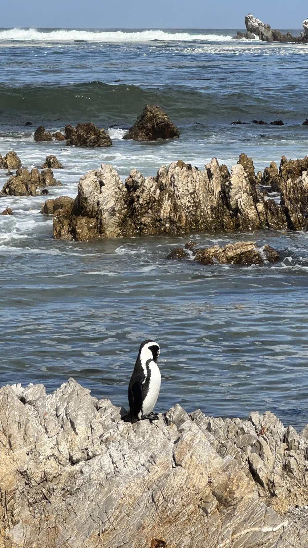 Stony Point Nature Reserve