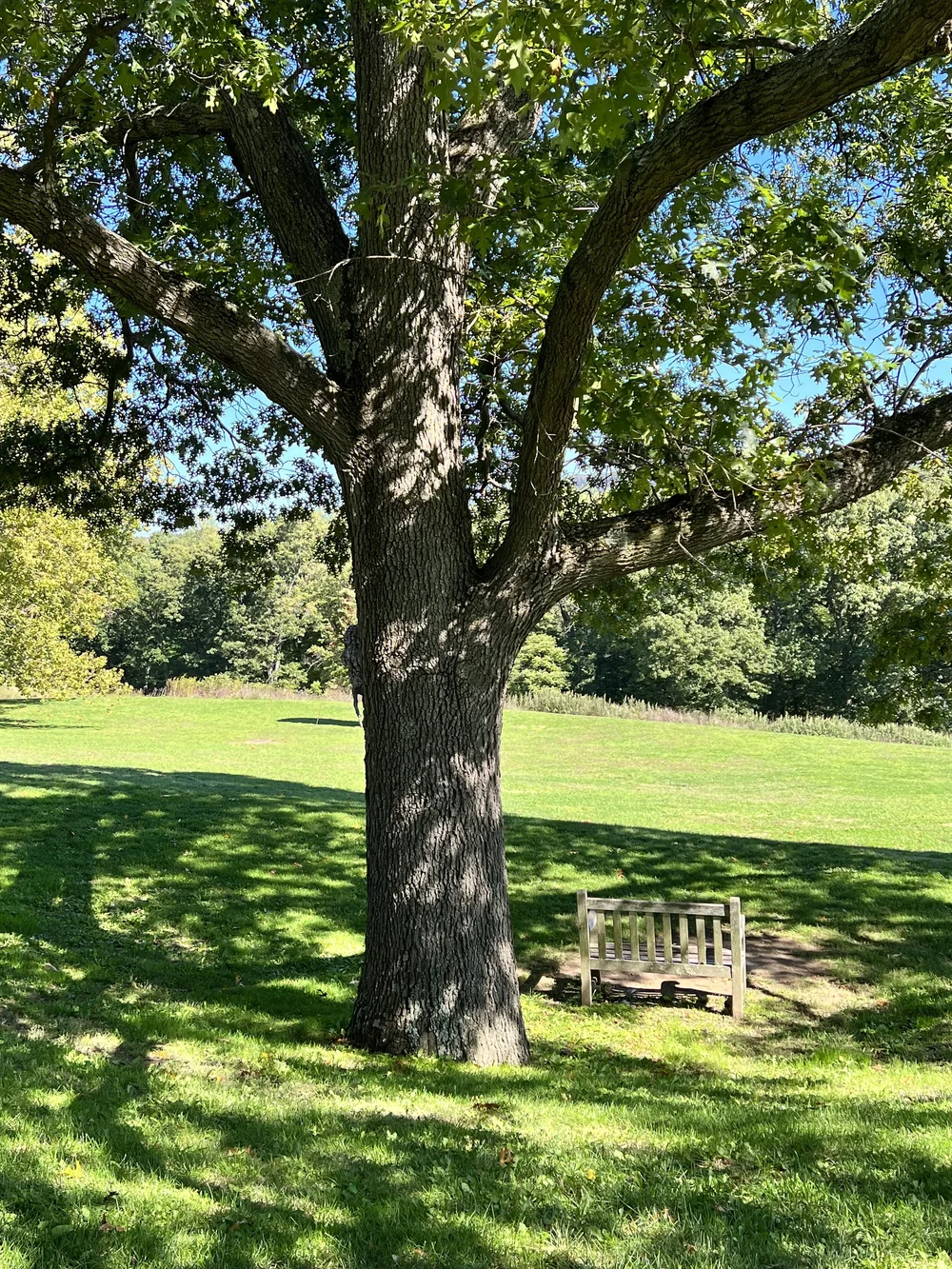 Storm King Art Center