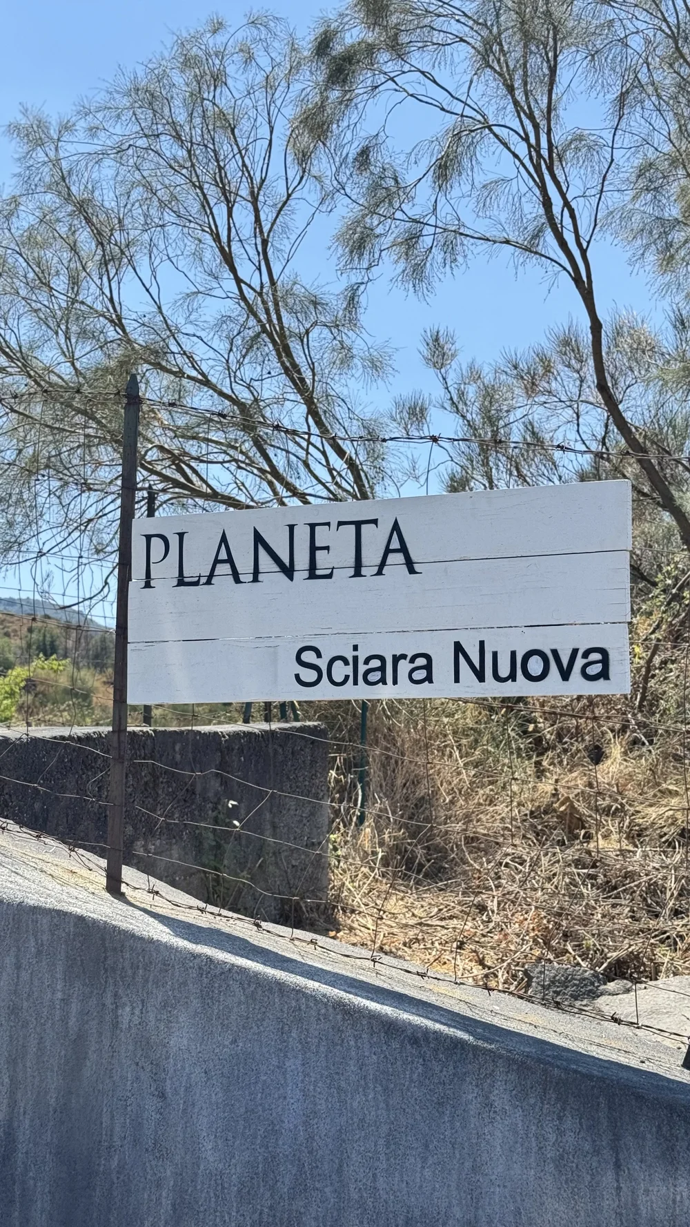 Planeta Sciaranuova 