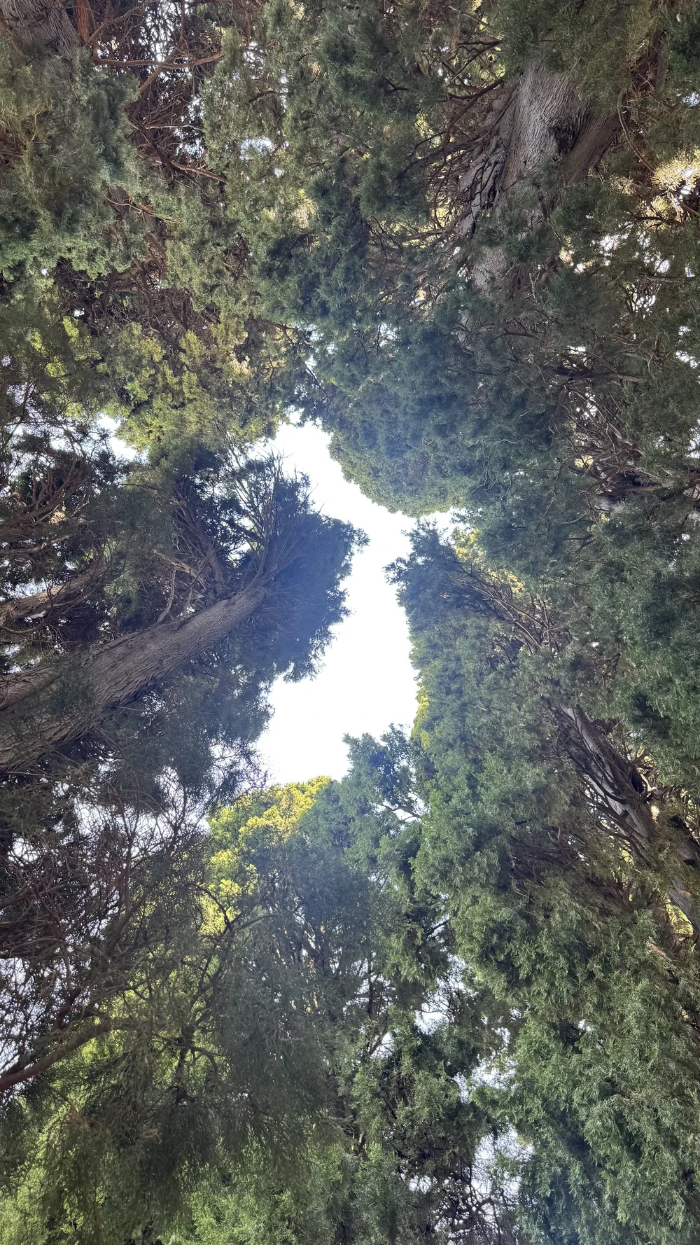 Giardini della Villa Comunale