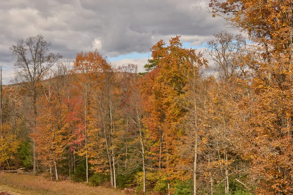Ashokan Rail Trail Woodstock Dike Trailhead