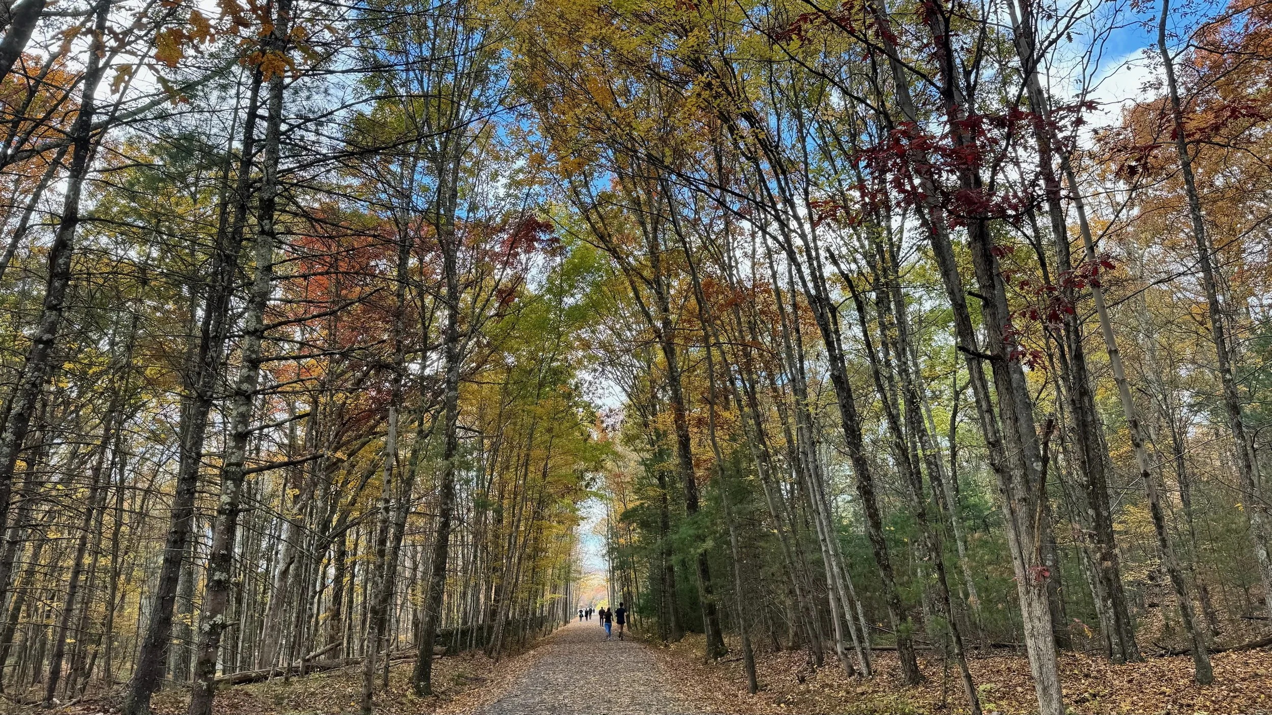 Ashokan Rail Trail Woodstock Dike Trailhead