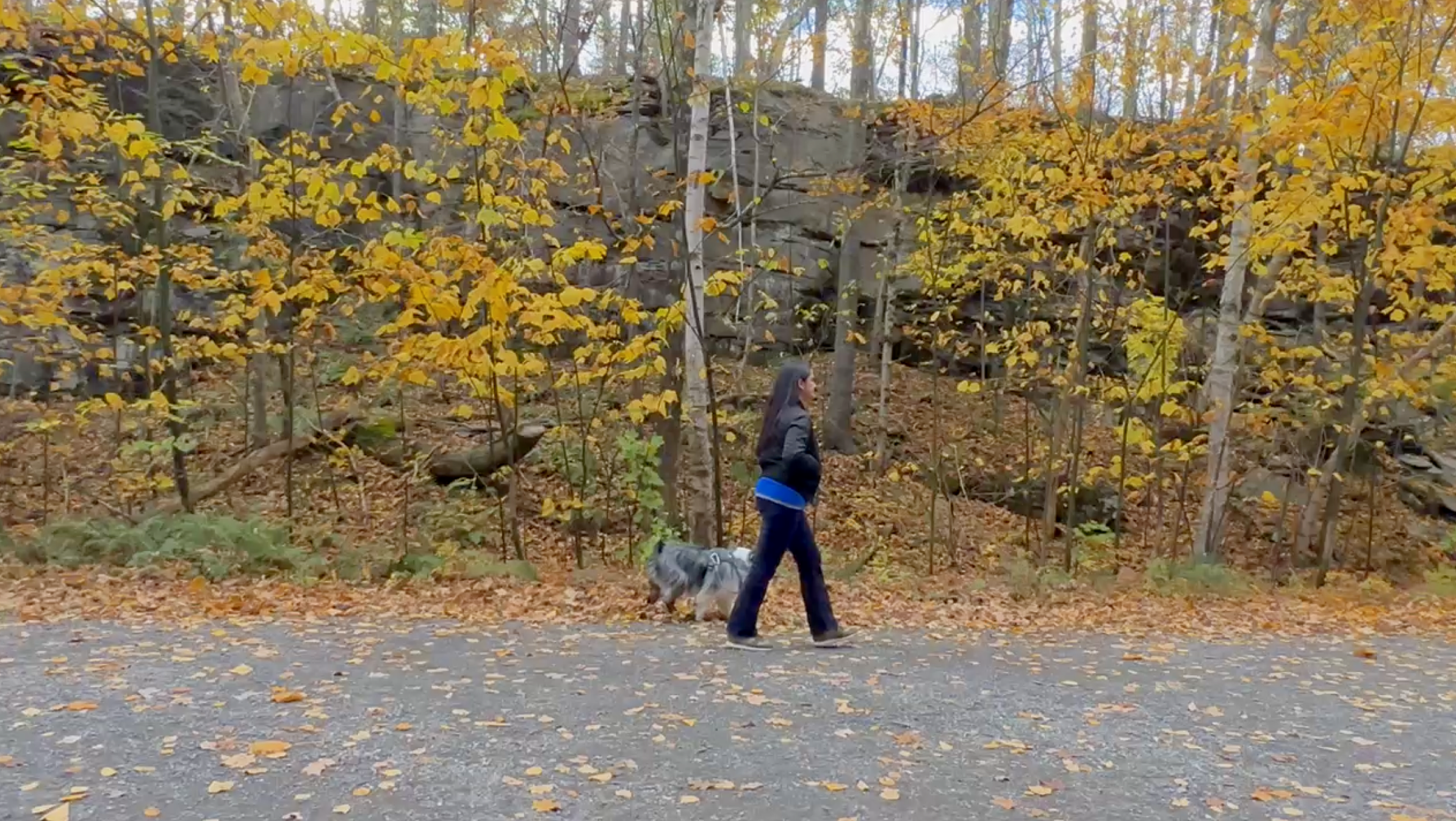 Ashokan Rail Trail Woodstock Dike Trailhead