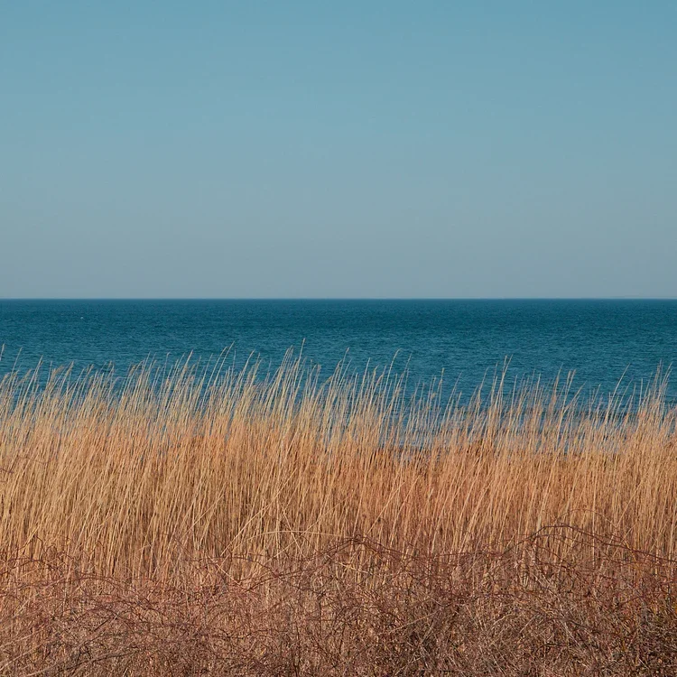 Best Day Trips from NYC for a Weekend Feel in Just One Day