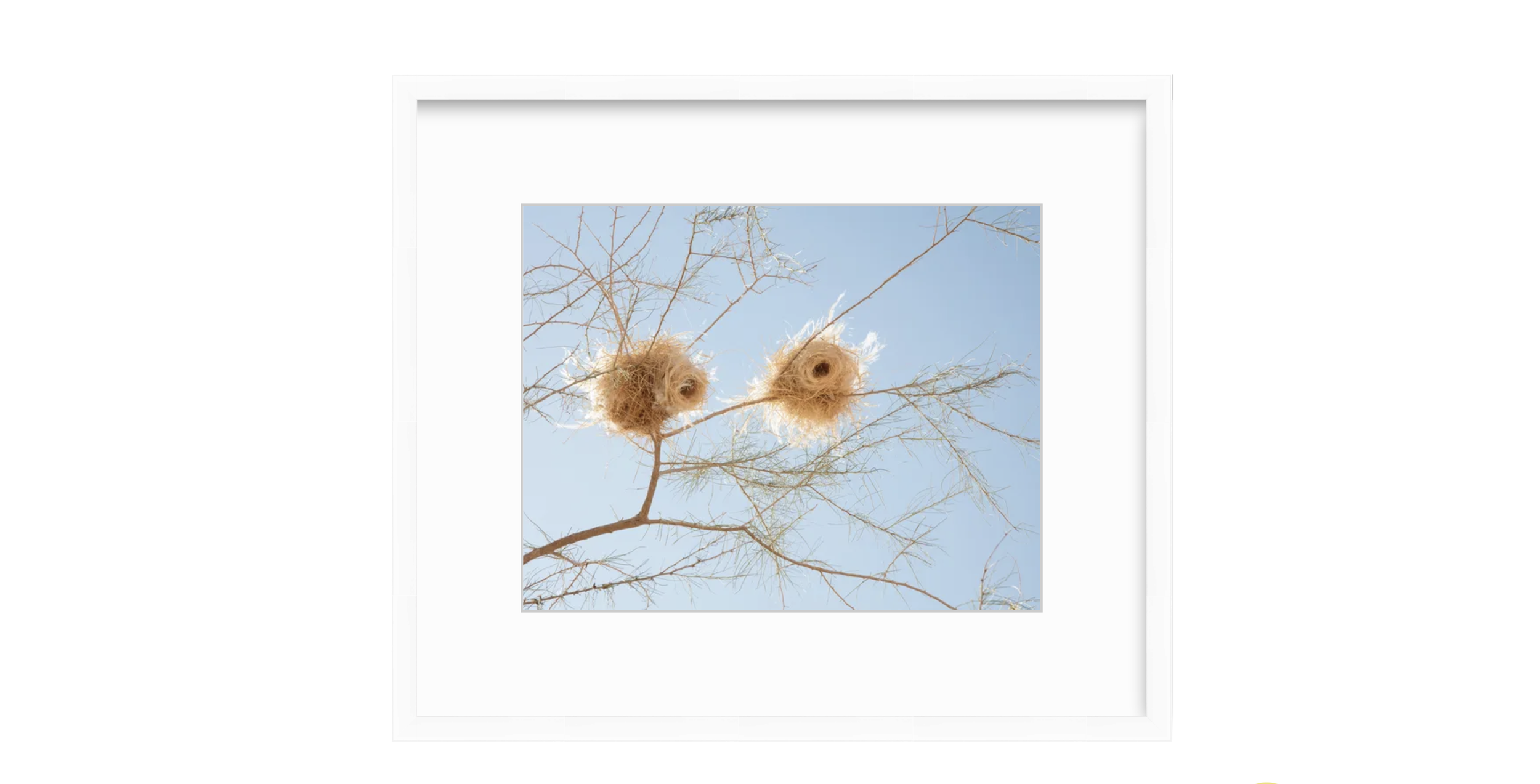 Nesting White Frame.png