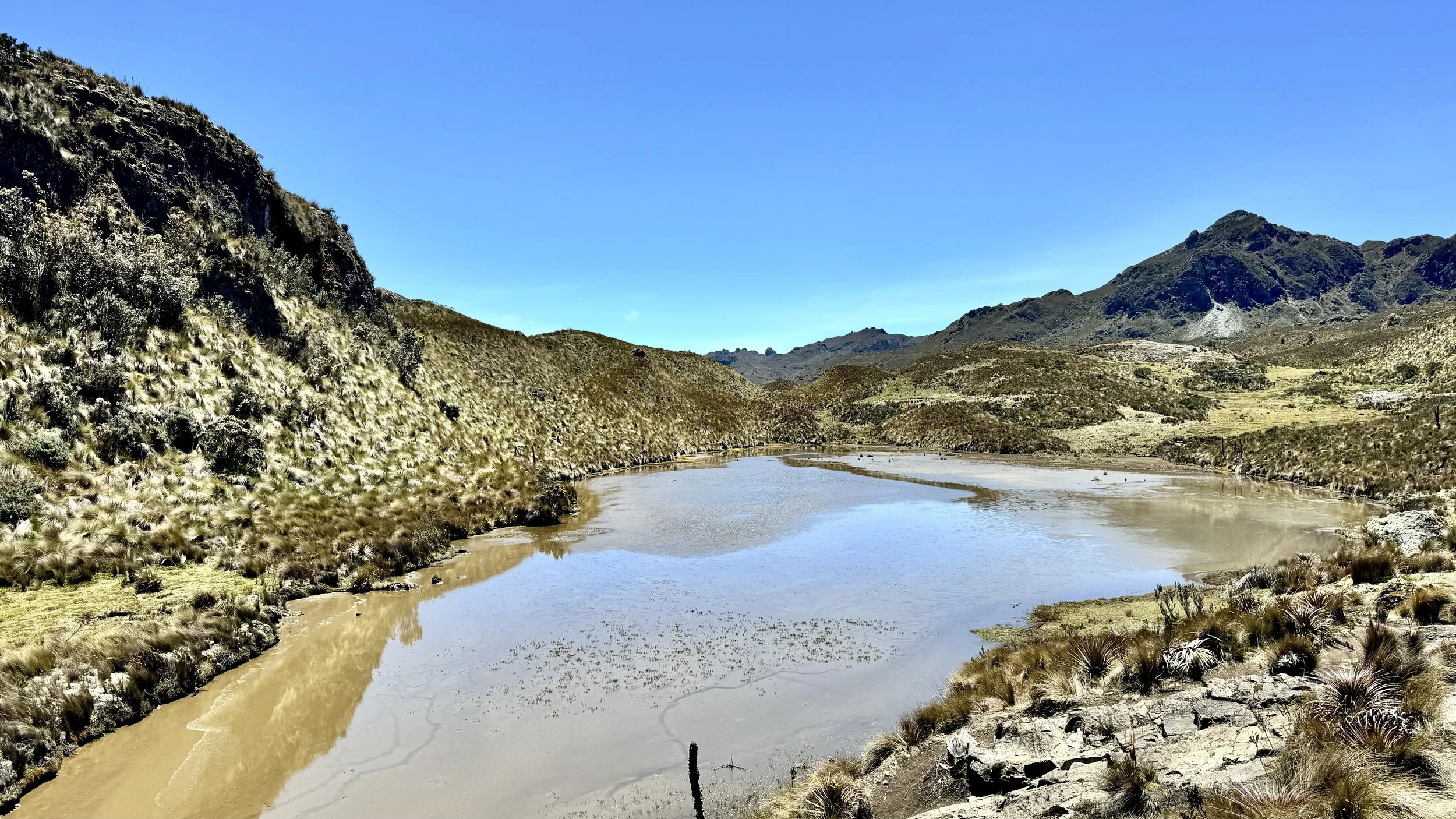 A wide view of Laguna Toreadora's shoreline, with tan-colored water and grassy hills surrounding it