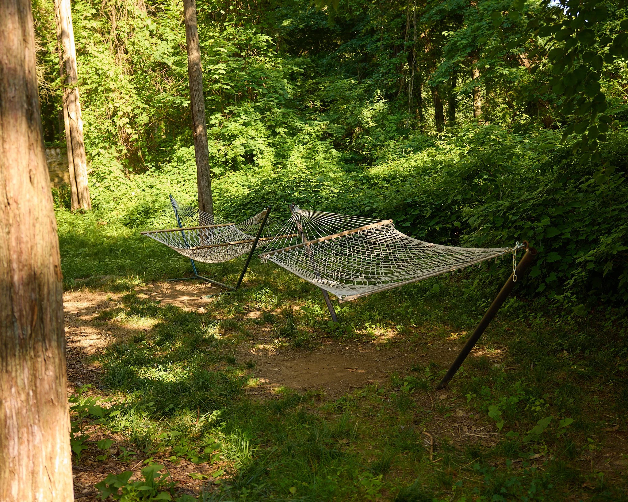 Hammock strung between trees on Caramoor's grounds