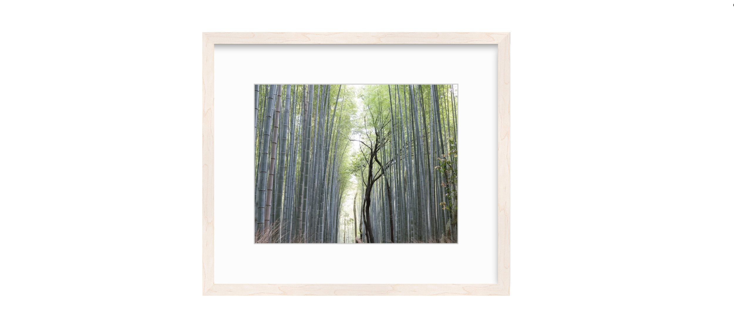 Bamboo Forest in Bleached Maple Frame.png