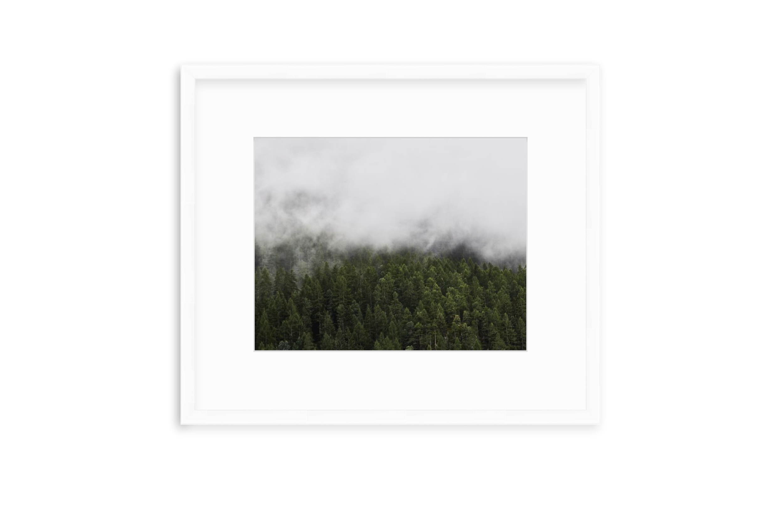 Screen Shot 2021-05-28 at 3.32.16 PM.png