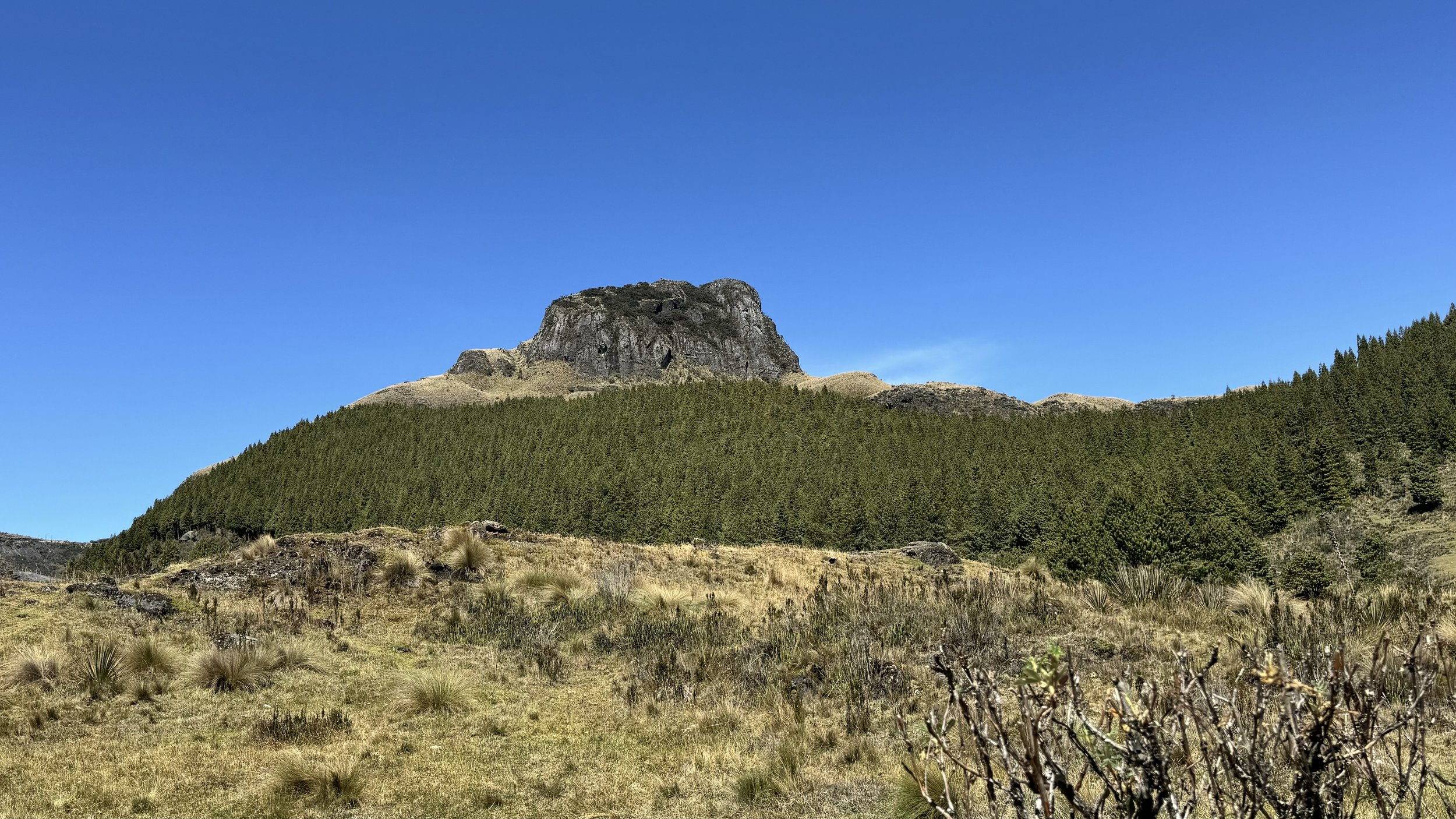 A rocky outcrop rising above pine forest and grassland at Santuario de la Vírgen del Cajas, Ecuador