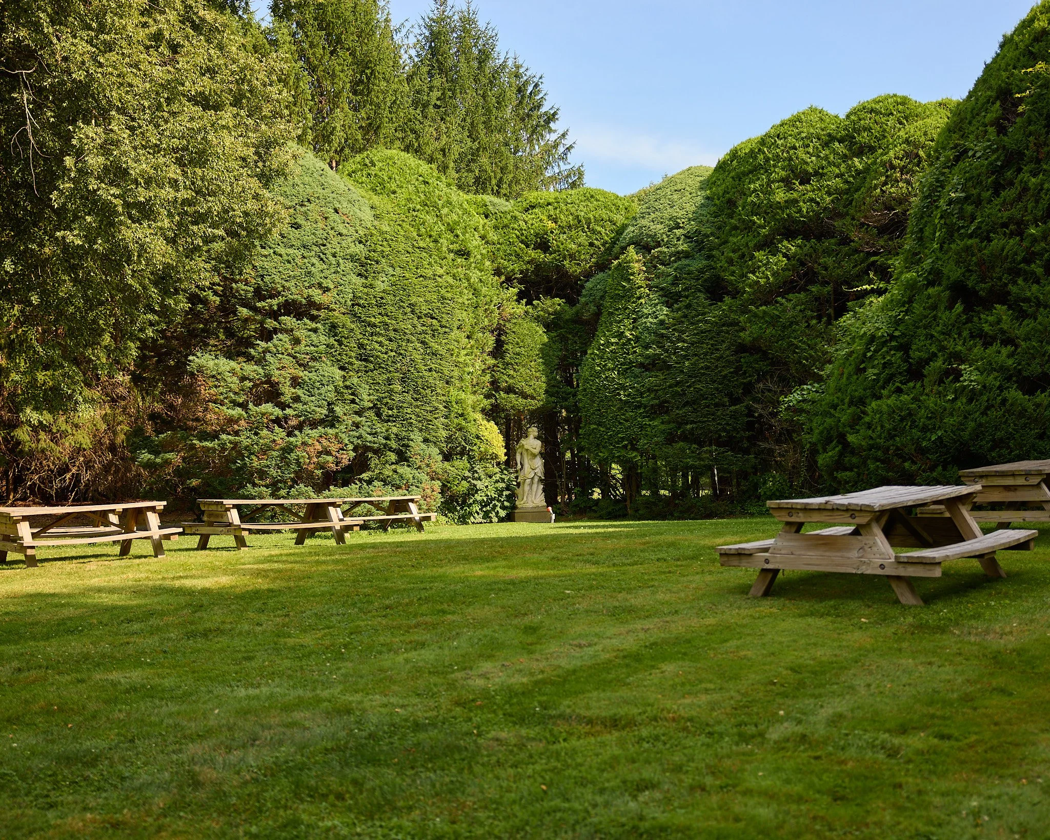 Statue framed by clipped hedges near picnic tables at Caramoor
